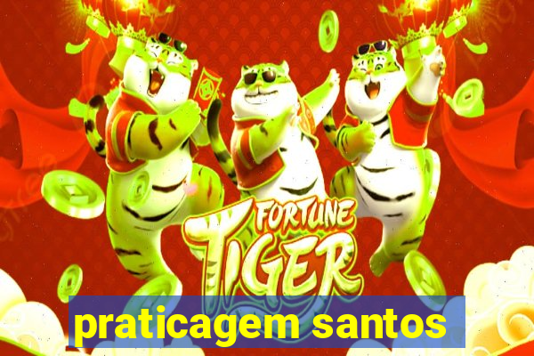 praticagem santos